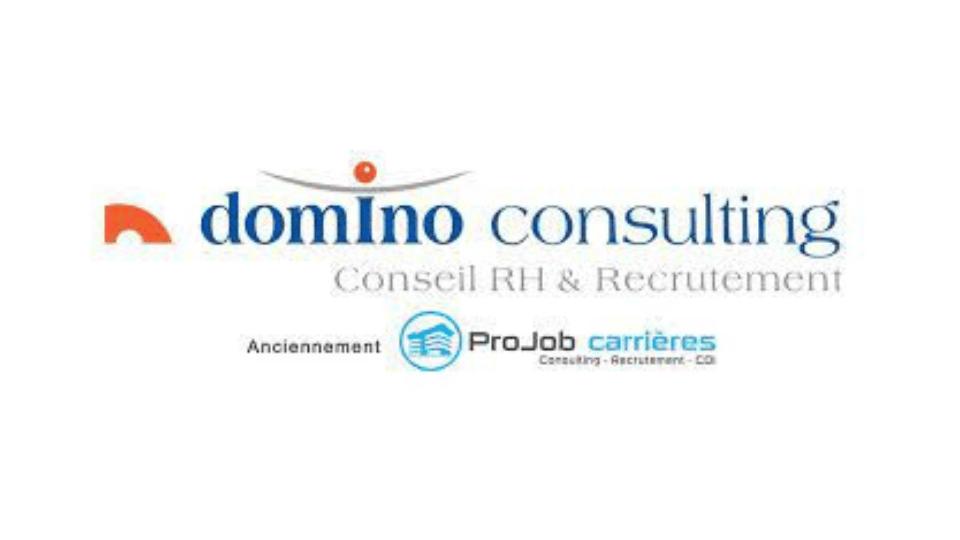 Domino Consulting banner