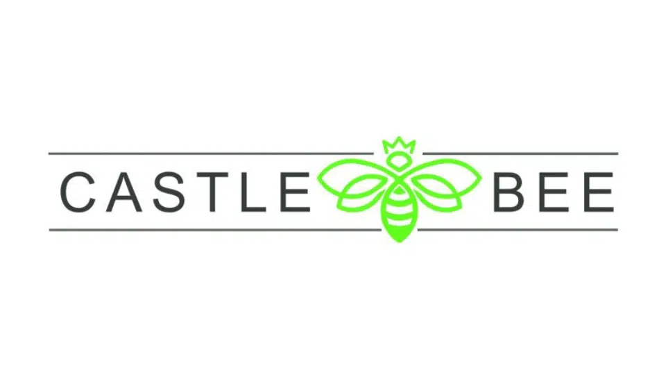 Castle Bee banner